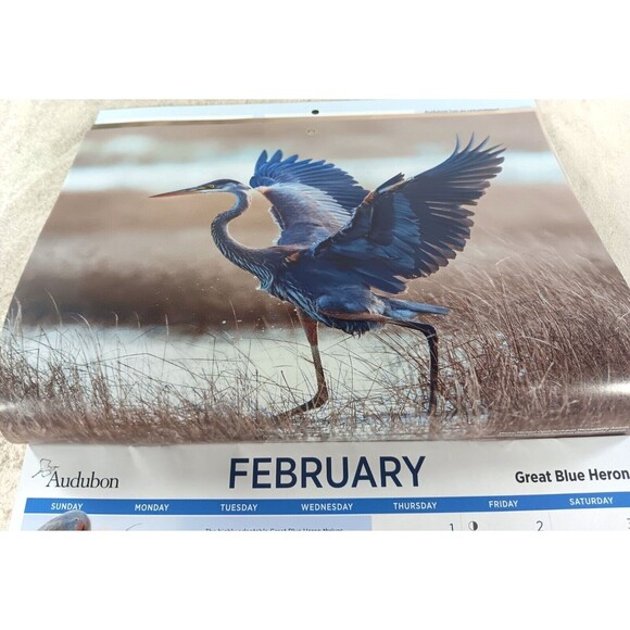 Audubon Society 2024 Wall Calendar 12 Months Protecting Birds and Nature - Picture 3 of 12